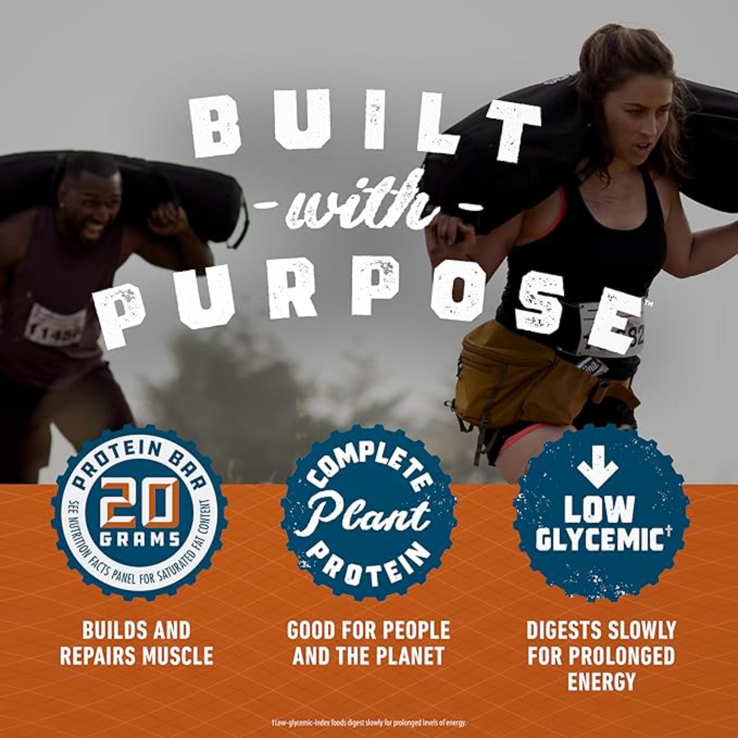 CLIF BUILDERS Protein Bars - Chocolate Peanut Butter Flavor - 20g Plant Based Protein - Gluten Free - Non-GMO - Low Glycemic - No Artificial Sweeteners - Value Pack, 2.4 oz. (12 Count)