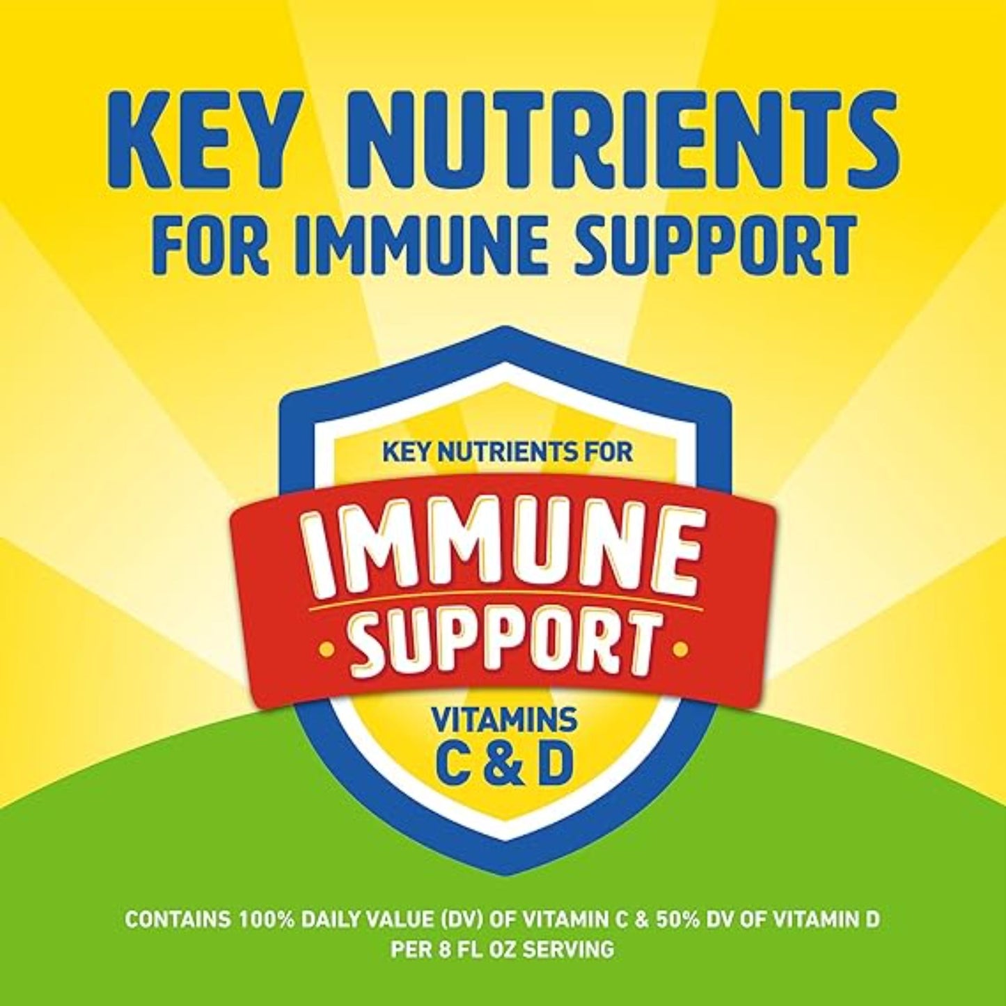 Carnation Breakfast Essentials High Protein with Fiber Ready-to-Drink, 8 FL OZ Carton, Rich Milk Chocolate (Pack of 24)